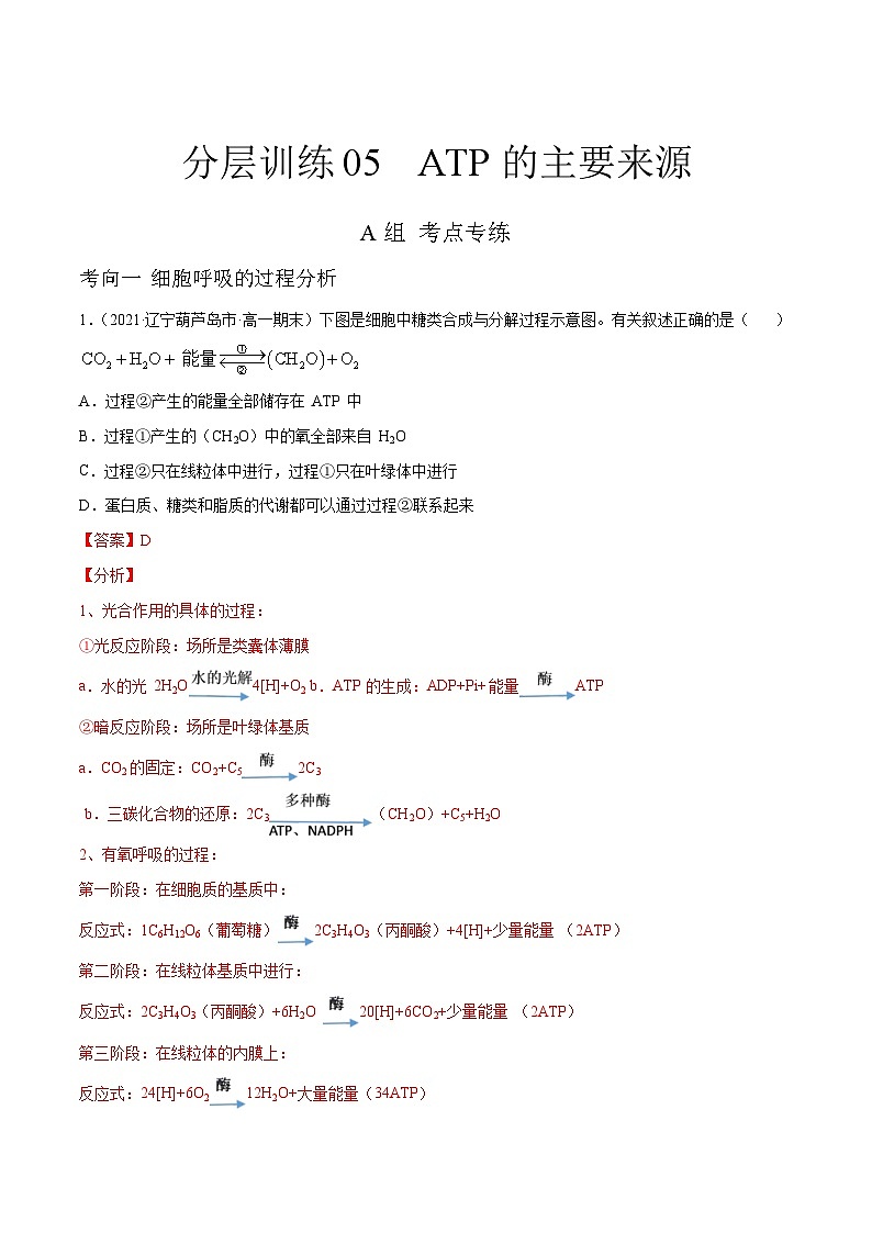 新高考生物二轮复习分层训练05 ATP的主要来源(解析版)第1页