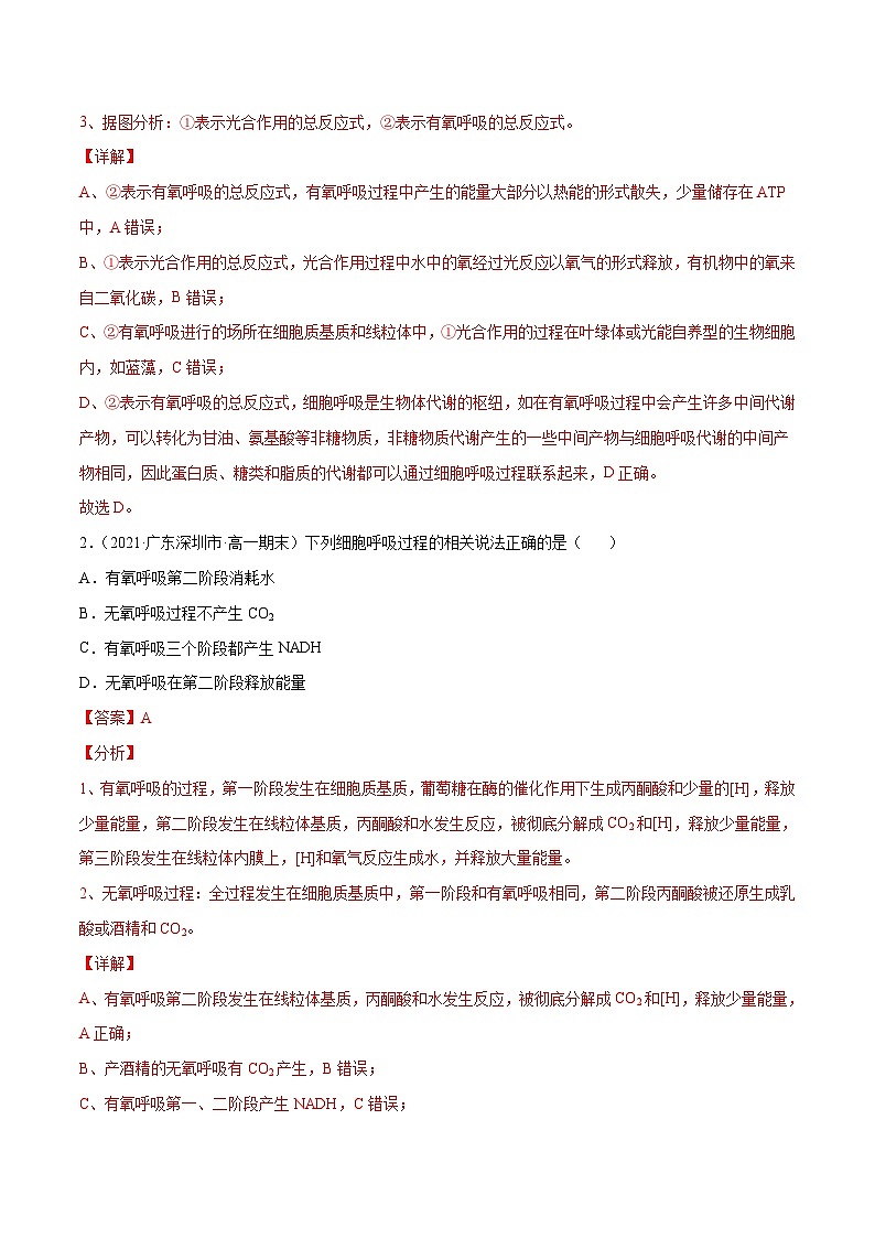 新高考生物二轮复习分层训练05 ATP的主要来源(解析版)第2页