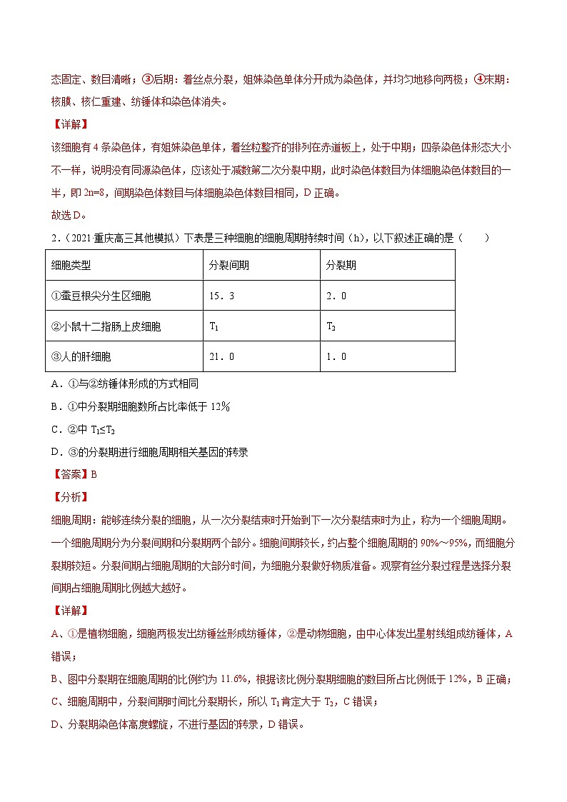 新高考生物二轮复习分层训练08 有丝分裂和减数分裂(解析版)02