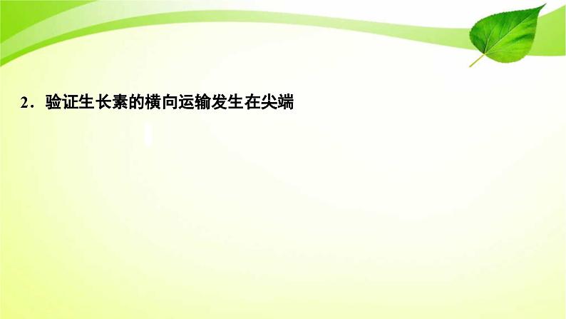 新高考生物二轮复习:加强提升课件(九) 植物激素调节相关实验探究(含解析)第3页