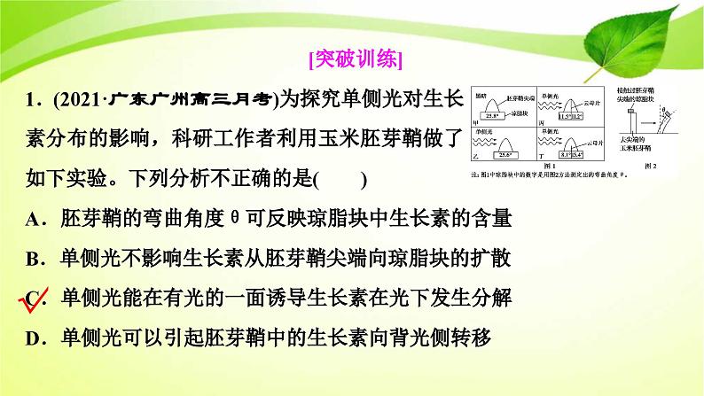 新高考生物二轮复习:加强提升课件(九) 植物激素调节相关实验探究(含解析)第8页