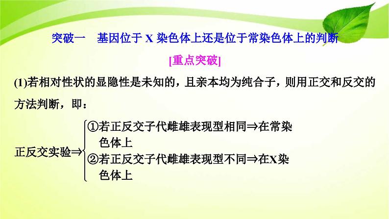 新高考生物二轮复习:加强提升课件(六) 基因位置的判定及相关实验设计突破(含解析)第2页