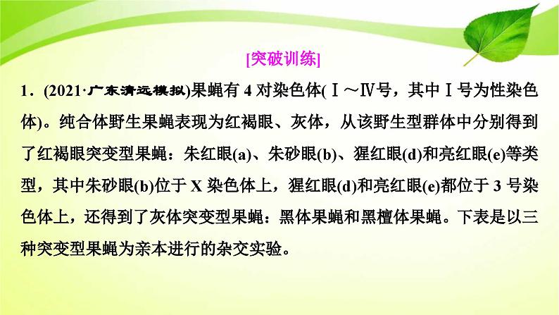 新高考生物二轮复习:加强提升课件(六) 基因位置的判定及相关实验设计突破(含解析)第4页