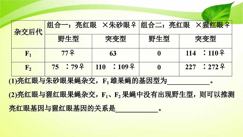 新高考生物二轮复习:加强提升课件(六) 基因位置的判定及相关实验设计突破(含解析)第5页