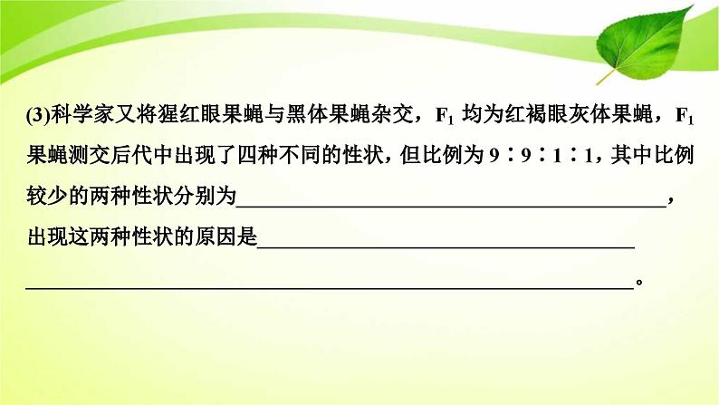 新高考生物二轮复习:加强提升课件(六) 基因位置的判定及相关实验设计突破(含解析)第6页