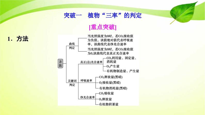 新高考生物二轮复习:加强提升课件(三) 辨析“三率”及“三率”测定的5种实验模型(含解析)第2页
