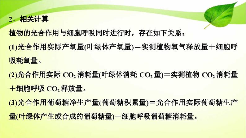 新高考生物二轮复习:加强提升课件(三) 辨析“三率”及“三率”测定的5种实验模型(含解析)第3页