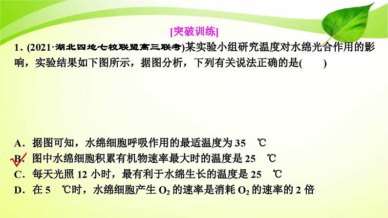 新高考生物二轮复习:加强提升课件(三) 辨析“三率”及“三率”测定的5种实验模型(含解析)第4页