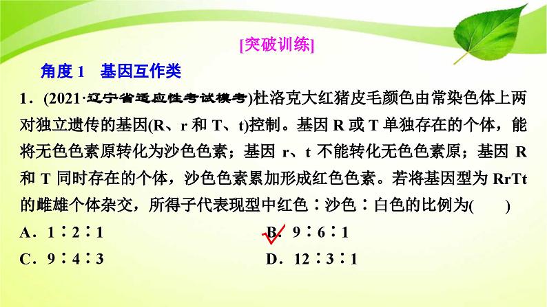 新高考生物二轮复习:加强提升课件(五) 基因自由组合定律的拓展题型突破(含解析)第8页