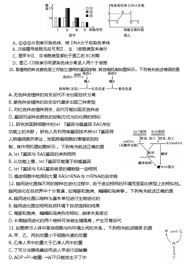湖北省鄂东南三校联考2022-2023学年高三上学期阶段(一)考试生物试题第3页