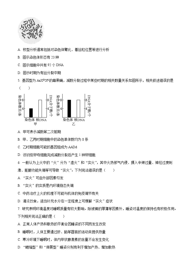2024江苏省海安高级中学高三上学期10月月考试题生物含解析02