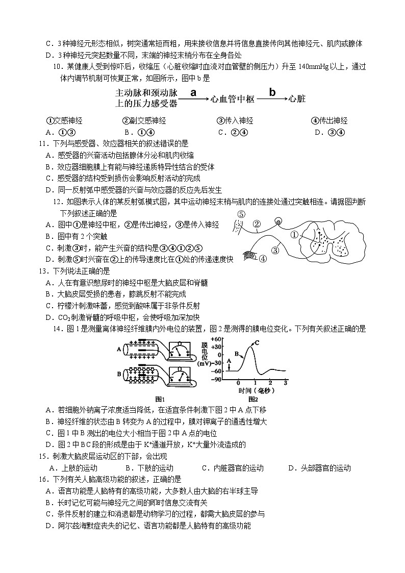 2024绵阳南山中学高二上学期10月月考试题生物含答案03
