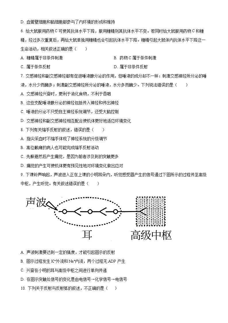 2024成都外国语学校高二上学期10月月考生物试题含解析02