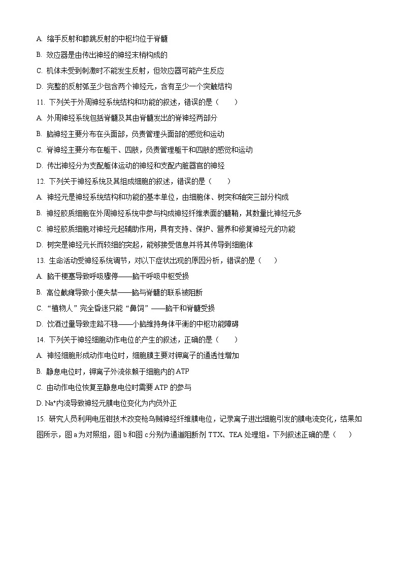 2024成都外国语学校高二上学期10月月考生物试题含解析03