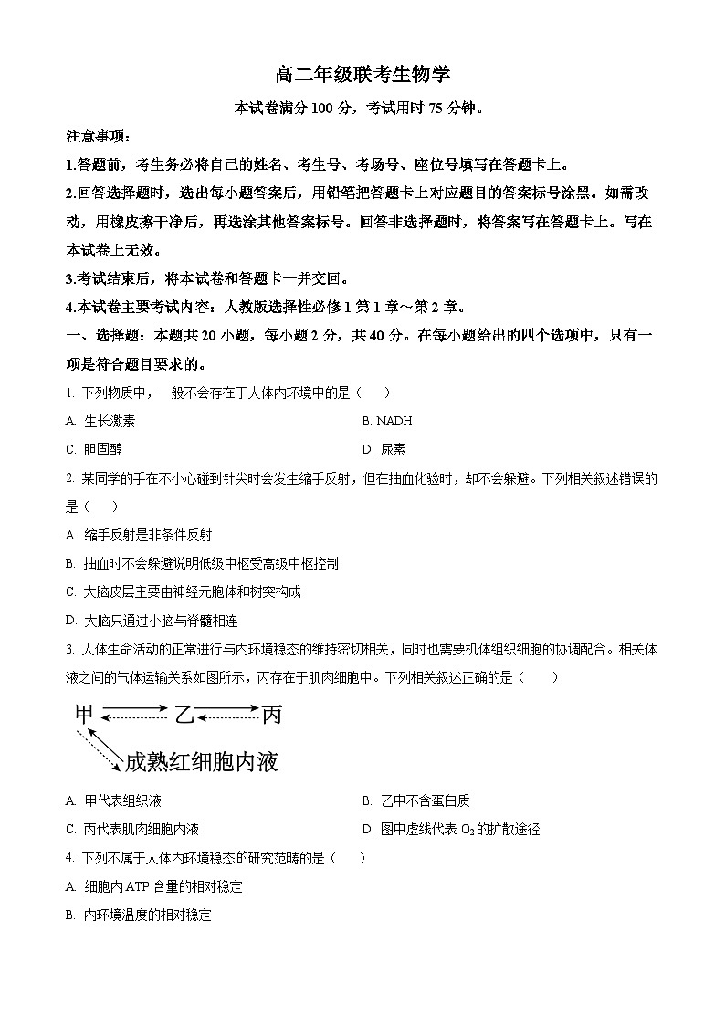 2024遵义高二上学期10月月考试题生物含答案第1页