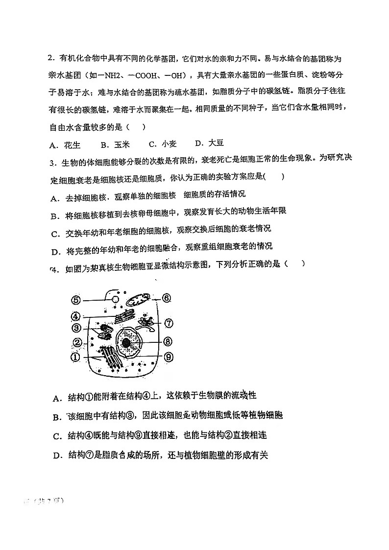 山东省青岛第五十八中学2021-2022学年高一上学期期中生物试题第3页