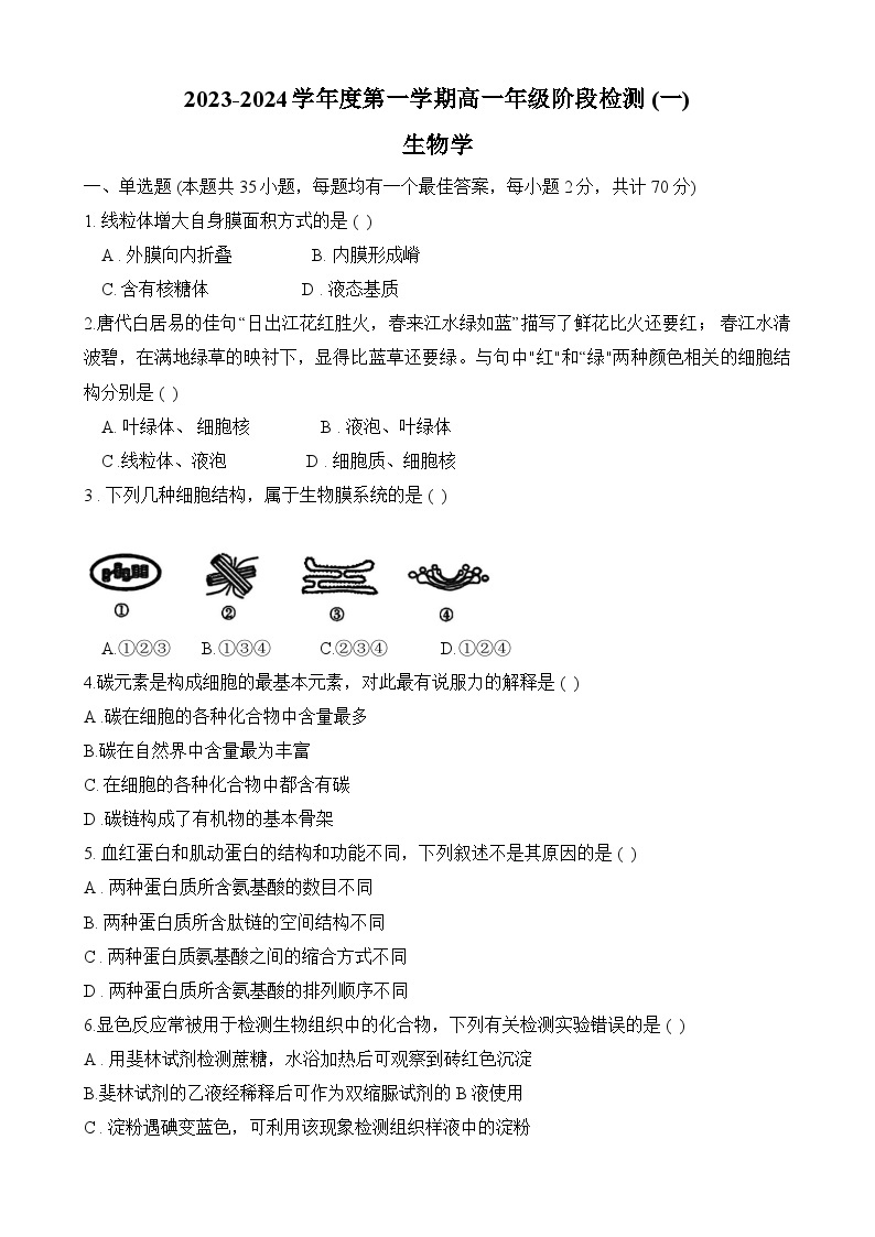 江苏省海安高级中学2023-2024学年高一上学期10月阶段检测（一）生物试题（月考）01