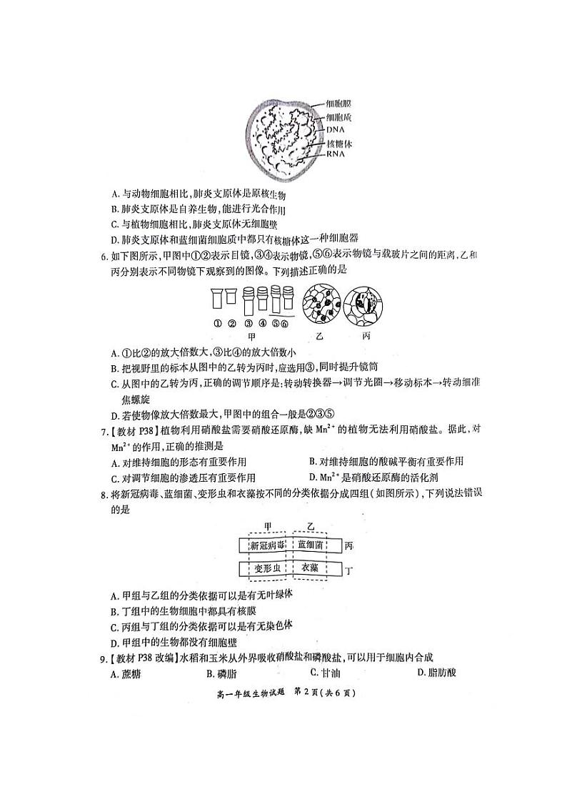 河南省南阳市六校2023-2024学年高一生物上学期10月联考试题(PDF版附解析)第2页