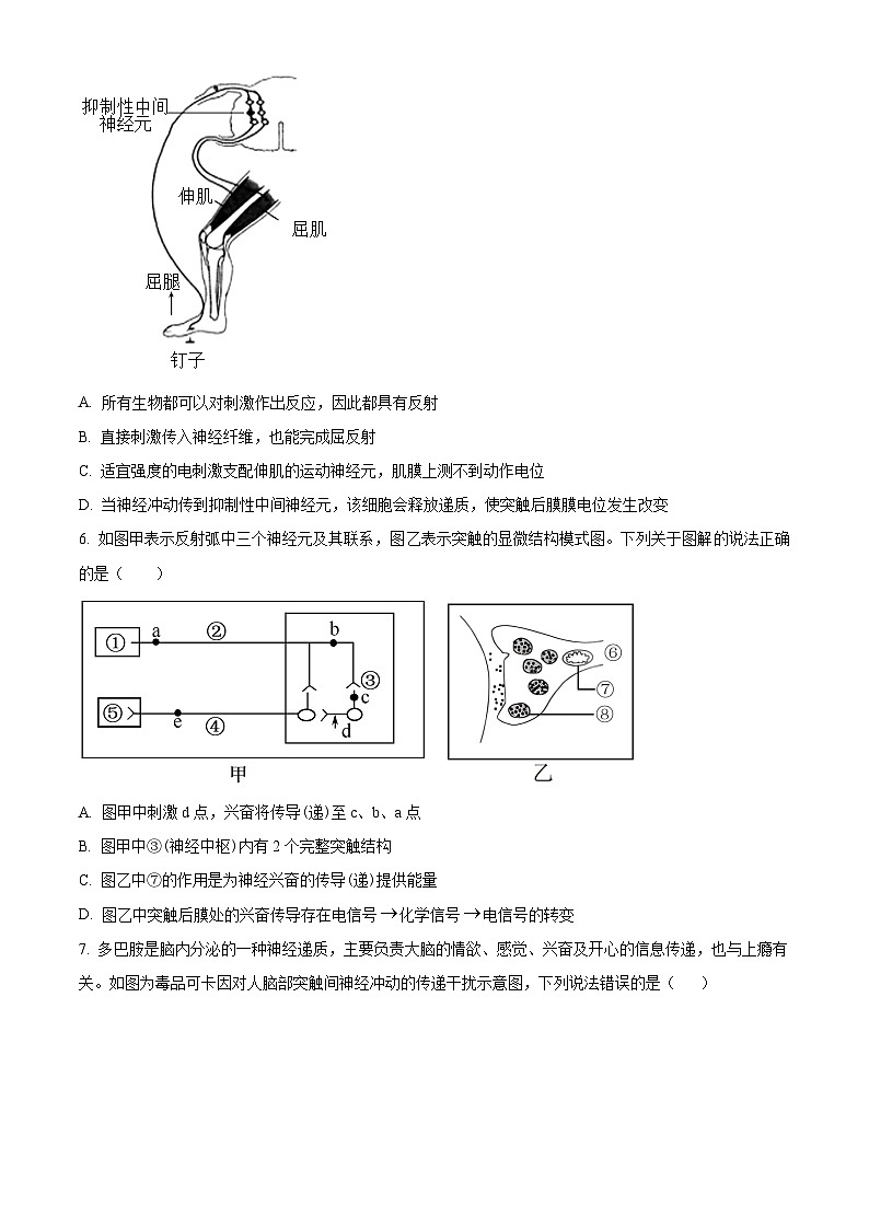 黑龙江省大庆实验中学二部2023-2024学年高二生物上学期10月阶段性考试试题(Word版附解析)02
