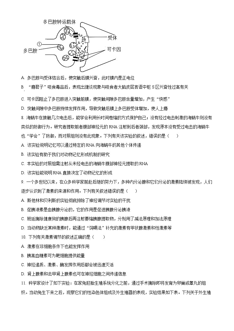 黑龙江省大庆实验中学二部2023-2024学年高二生物上学期10月阶段性考试试题(Word版附解析)03