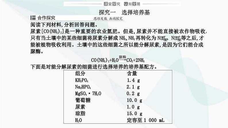 人教版高中生物选择性必修3第1章发酵工程第2节第2课时微生物的选择培养和计数课件第7页