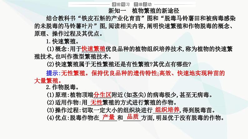 人教版高中生物选择性必修3第2章细胞工程第1节第2课时植物细胞工程的应用课件03