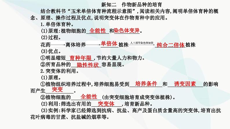 人教版高中生物选择性必修3第2章细胞工程第1节第2课时植物细胞工程的应用课件04
