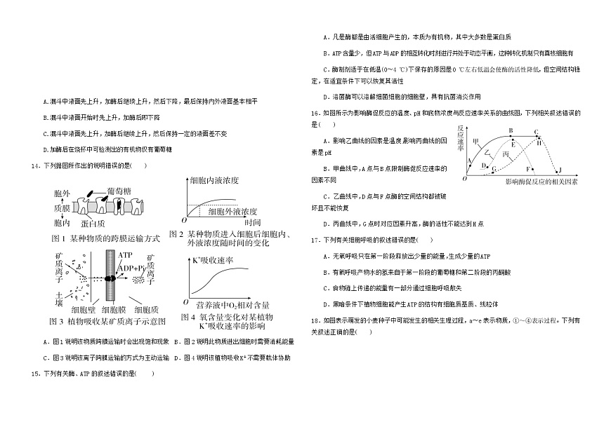 甘肅省天水市甘谷縣第二中學(xué)2024屆高三生物上學(xué)期第二次檢測試題（Word版附答案）第3頁