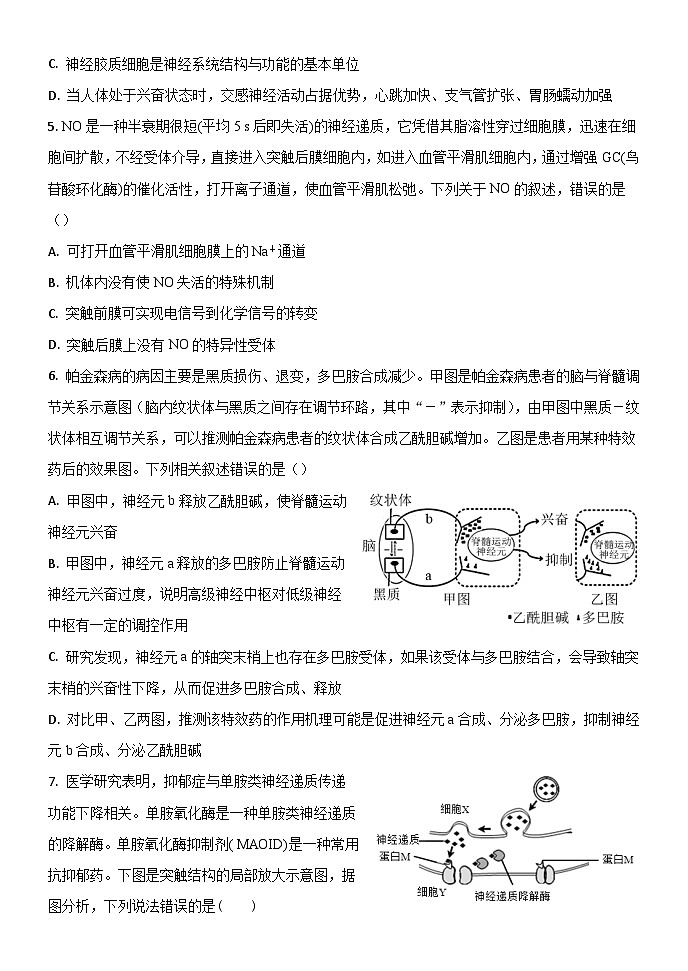 2024保定部分高中高二上学期10月月考试题生物含答案02
