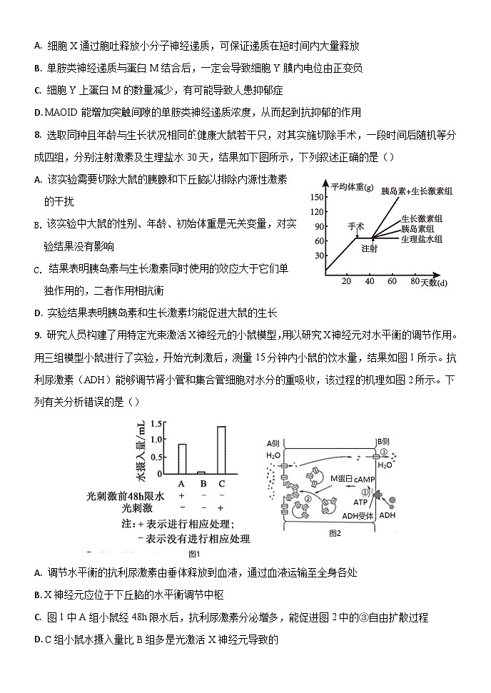 2024保定部分高中高二上学期10月月考试题生物含答案03