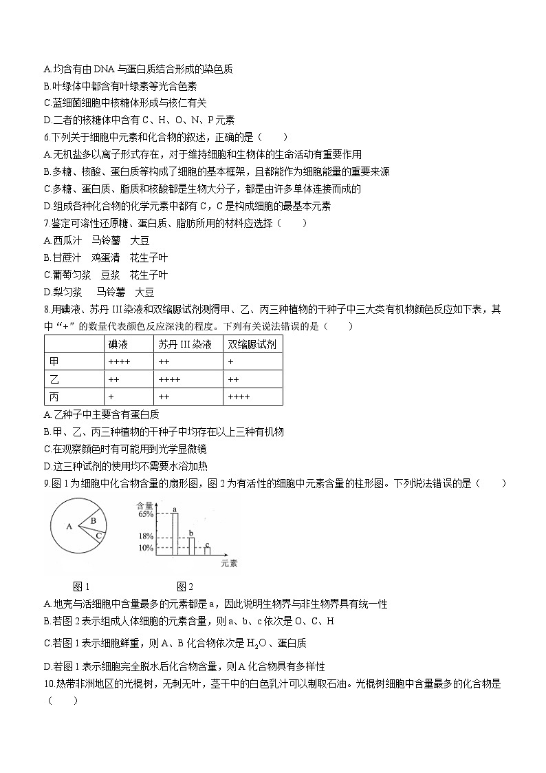 2024朝陽名校統(tǒng)考高一10月月考生物試題含答案第2頁