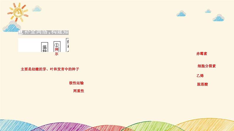 新高考生物二轮重点讲练课件:第11讲植物生命活动的调节(含解析)第3页