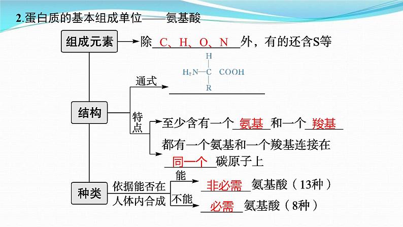 新高考生物一轮复习讲练课件:第3讲 蛋白质和核酸(含解析)04