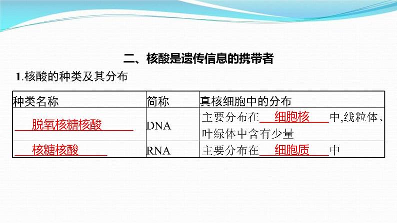 新高考生物一轮复习讲练课件:第3讲 蛋白质和核酸(含解析)08