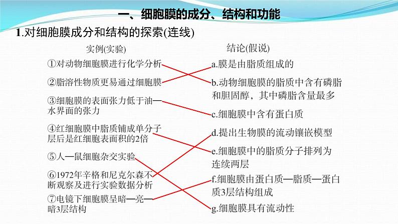 新高考生物一轮复习讲练课件:第4讲 细胞膜和细胞核(含解析)03