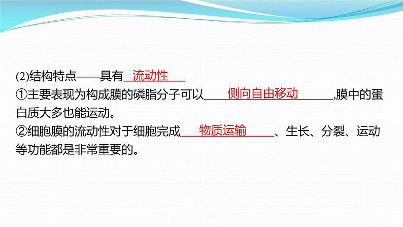 新高考生物一轮复习讲练课件:第4讲 细胞膜和细胞核(含解析)05