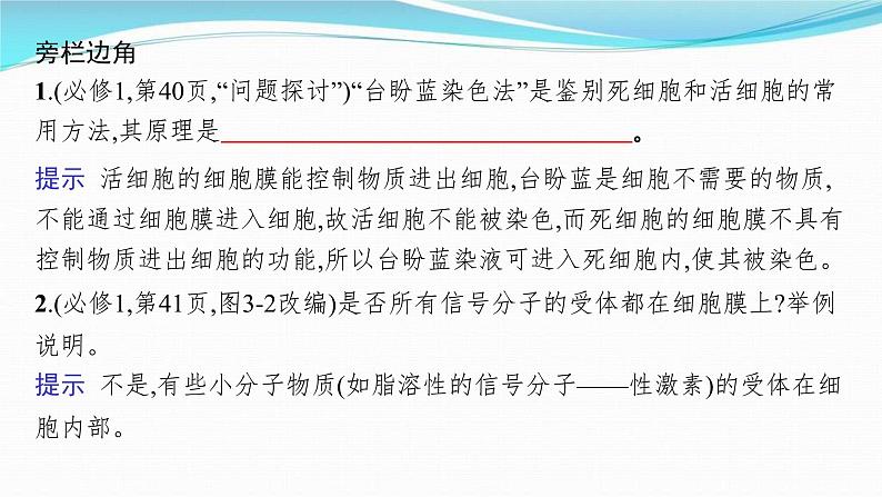 新高考生物一轮复习讲练课件:第4讲 细胞膜和细胞核(含解析)08