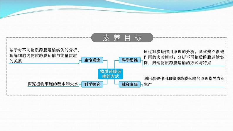 新高考生物一轮复习讲练课件:第6讲 物质跨膜运输的方式(含解析)第2页