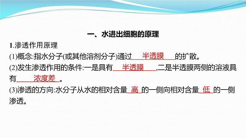 新高考生物一轮复习讲练课件:第6讲 物质跨膜运输的方式(含解析)第3页