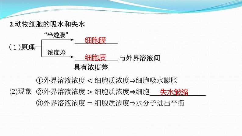 新高考生物一轮复习讲练课件:第6讲 物质跨膜运输的方式(含解析)第4页