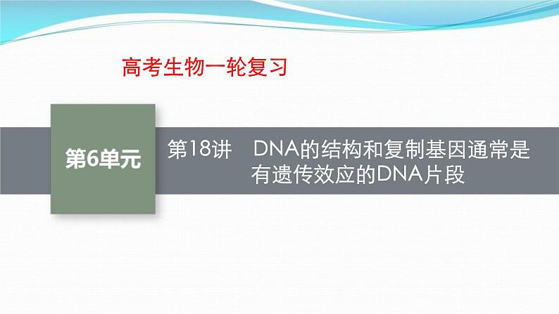 新高考生物一轮复习讲练课件:第18讲 DNA的结构和复制基因通常是有遗传效应的DNA片段(含解析)第1页