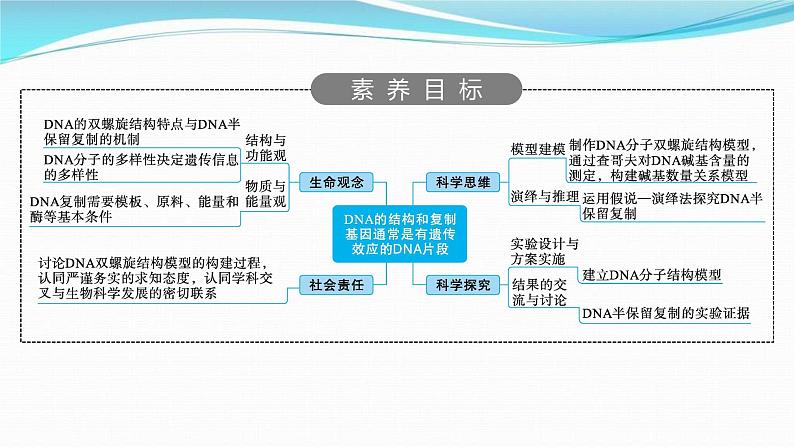 新高考生物一轮复习讲练课件:第18讲 DNA的结构和复制基因通常是有遗传效应的DNA片段(含解析)第2页