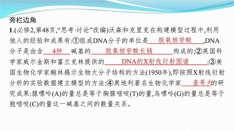 新高考生物一轮复习讲练课件:第18讲 DNA的结构和复制基因通常是有遗传效应的DNA片段(含解析)第8页