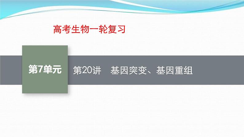 新高考生物一轮复习讲练课件:第20讲 基因突变、基因重组(含解析)01