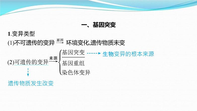 新高考生物一轮复习讲练课件:第20讲 基因突变、基因重组(含解析)03