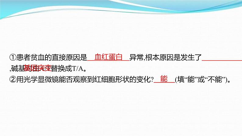 新高考生物一轮复习讲练课件:第20讲 基因突变、基因重组(含解析)06