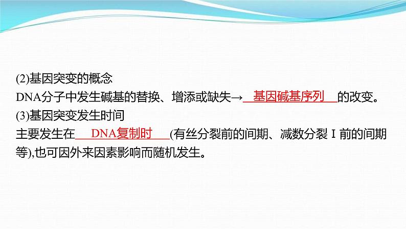 新高考生物一轮复习讲练课件:第20讲 基因突变、基因重组(含解析)07
