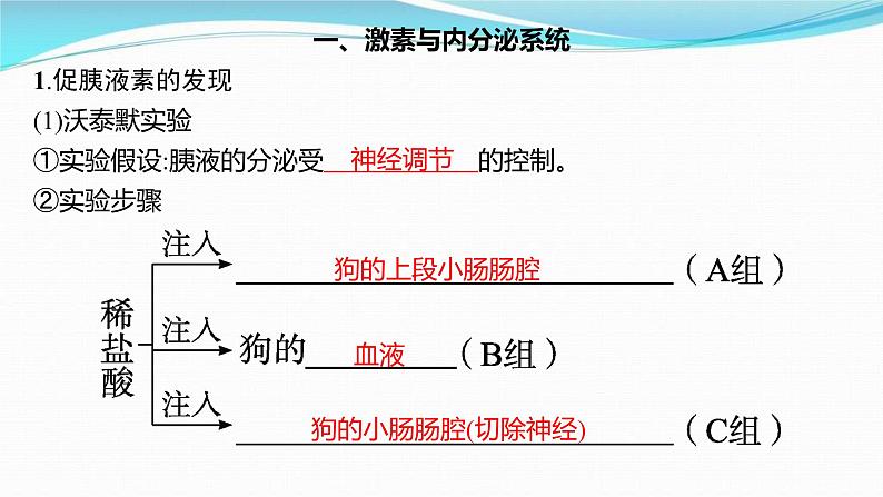 新高考生物一轮复习讲练课件:第25讲 体液调节(含解析)03