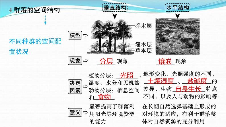 新高考生物一轮复习讲练课件:第29讲 群落及其演替(含解析)第6页