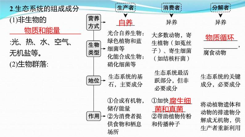 新高考生物一轮复习讲练课件：第30讲　生态系统的结构、能量流动（含解析）04